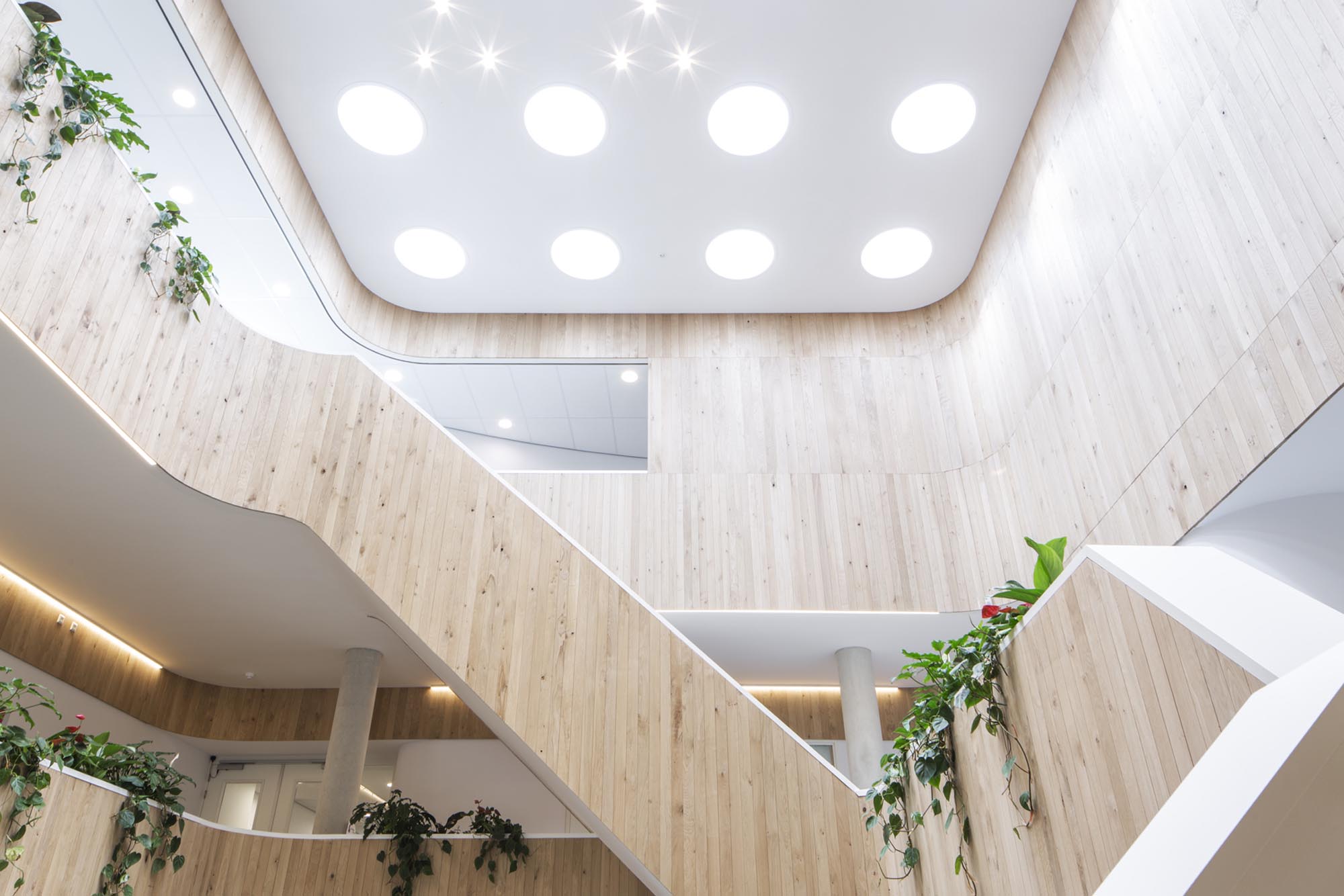 Office atrium with Acosorb acoustic ceiling — seamless sound absorbing treatment